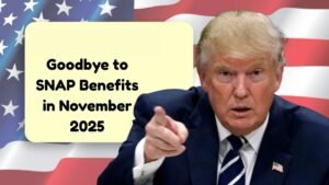 Goodbye to SNAP Benefits in November 2025